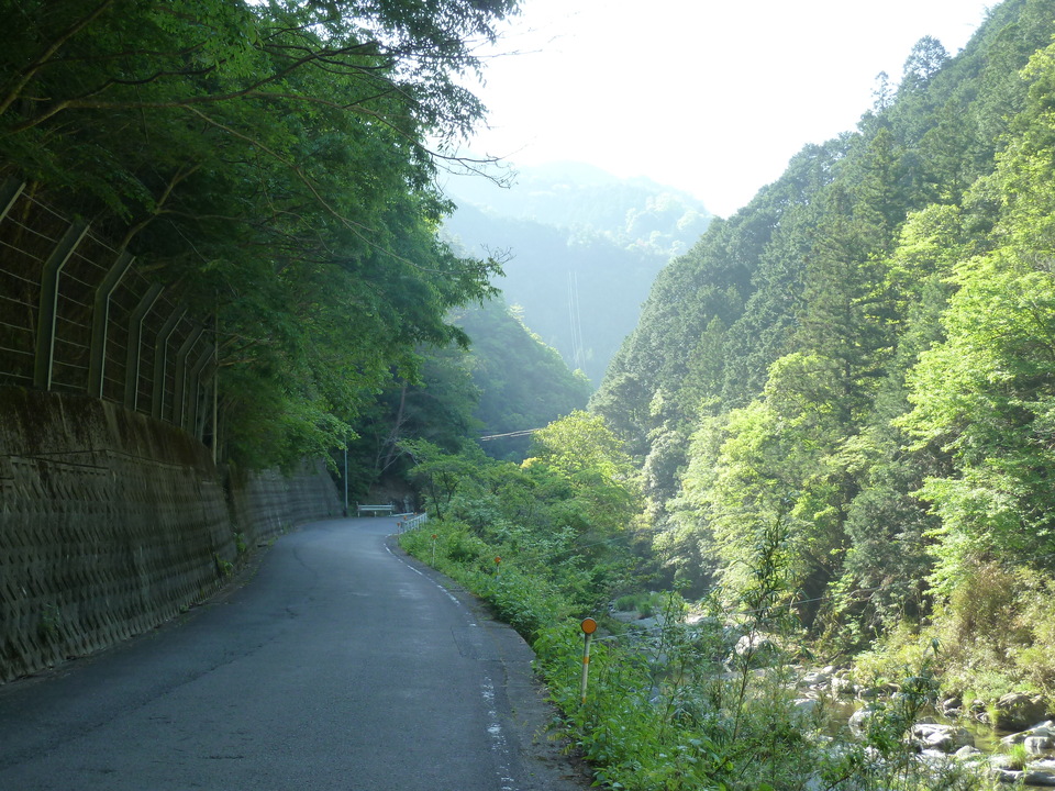 P1070233_mid.jpg