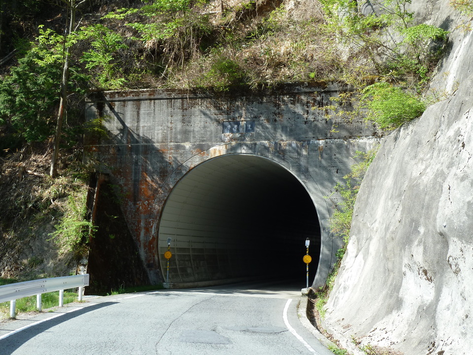 P1070265_mid.jpg