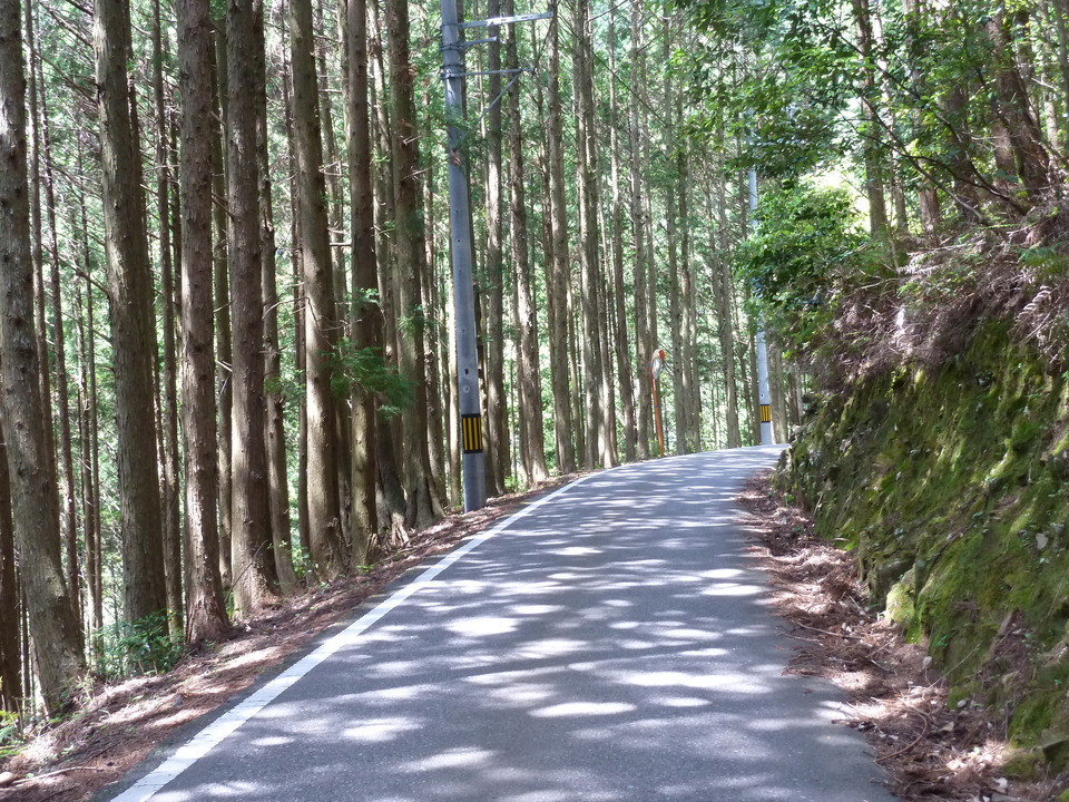 P1070320_mid.jpg