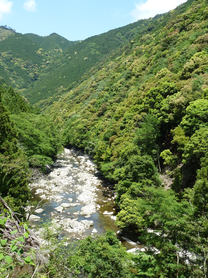 P1070382_mid.jpg
