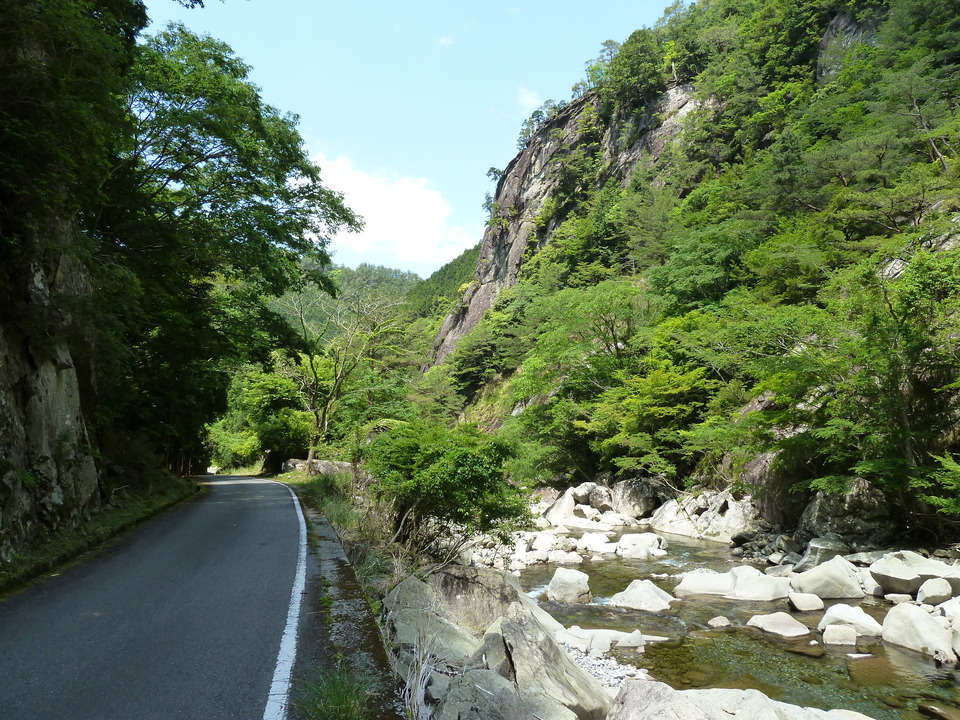 P1070397_mid.jpg