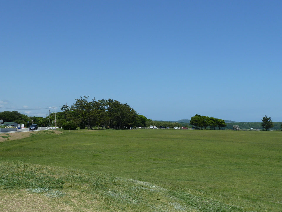 P1070501_mid.jpg