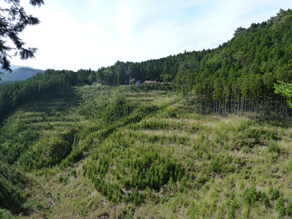 P1070603_mid.jpg