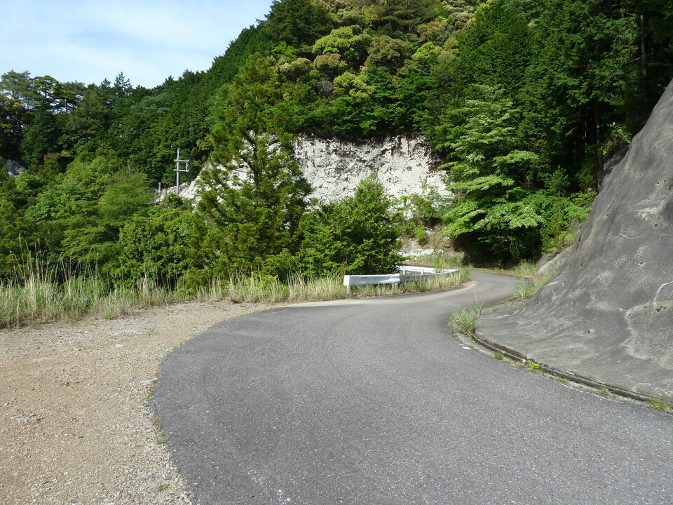 P1070618_mid.jpg