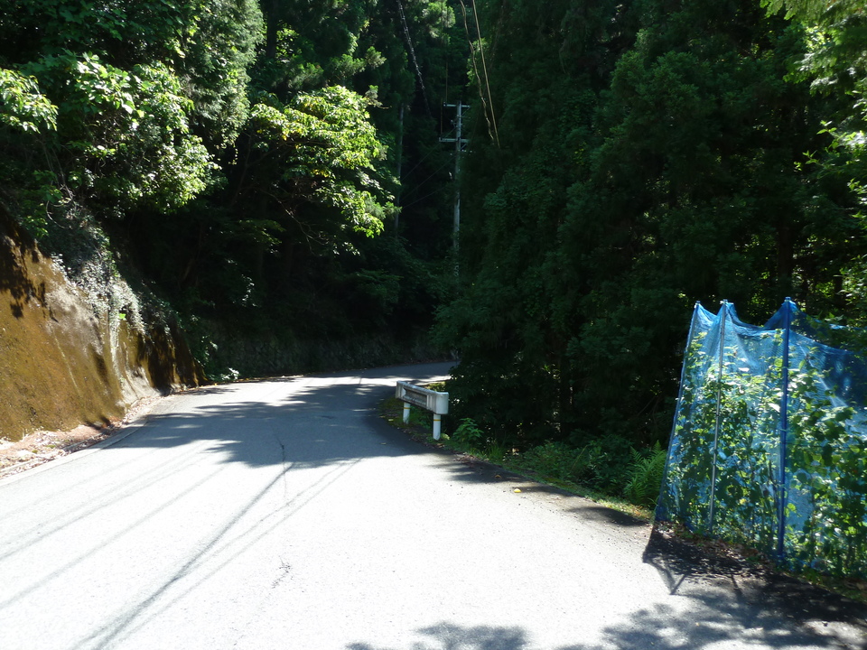P1070674_mid.jpg