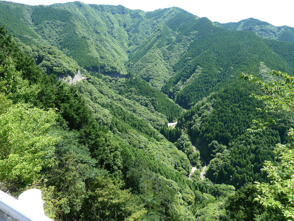 P1070700_mid.jpg