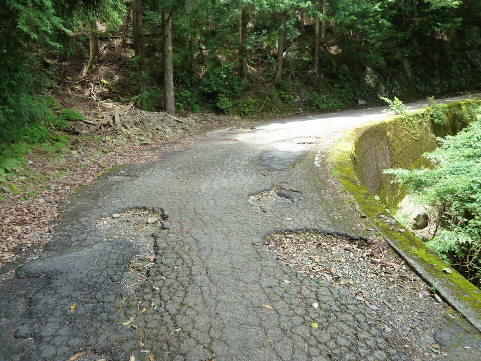 P1070746_mid.jpg