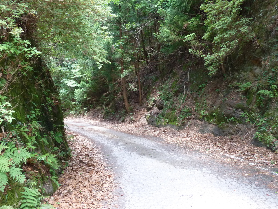 P1070750_mid.jpg