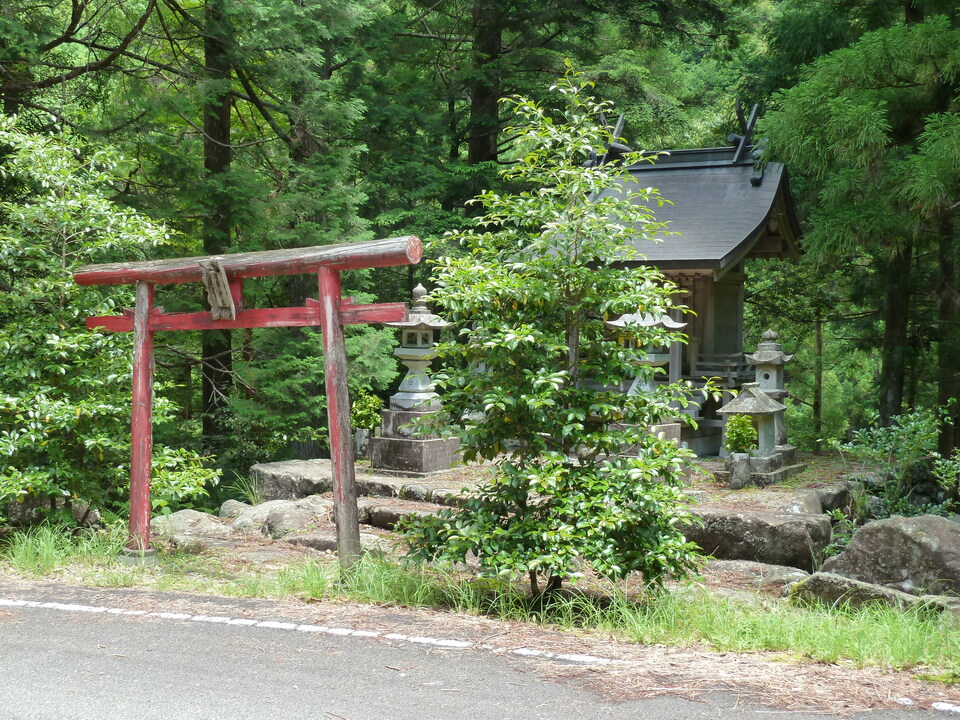 P1070758_mid.jpg