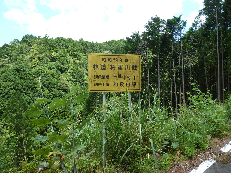 P1070762_mid.jpg