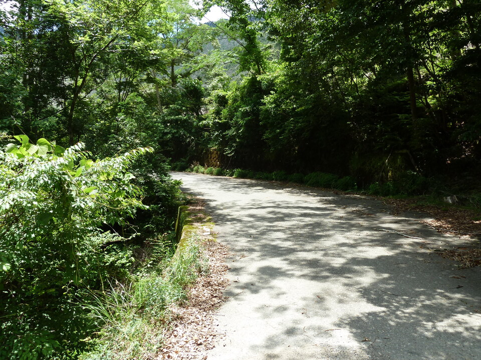 P1070771_mid.jpg