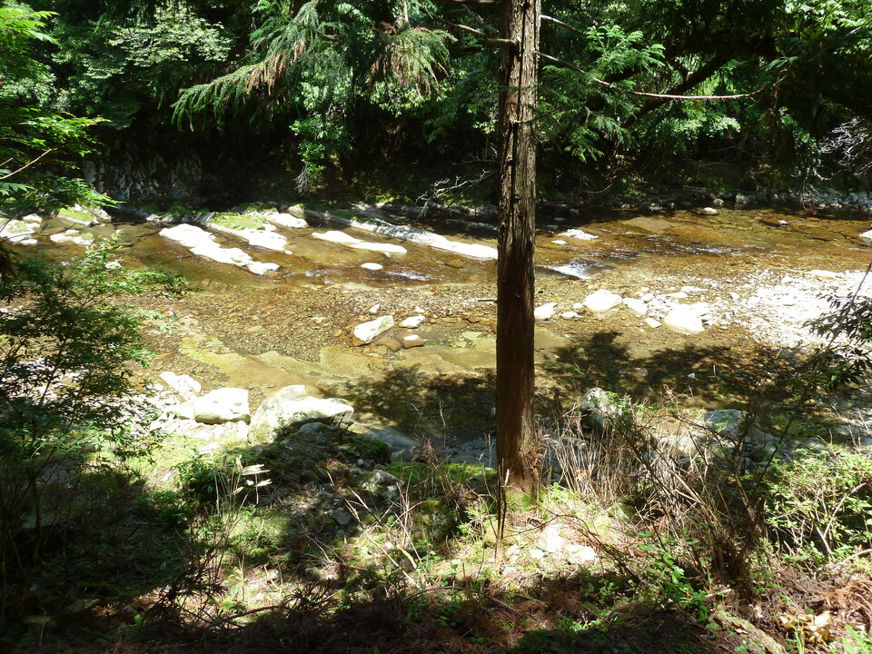 P1070781_mid.jpg