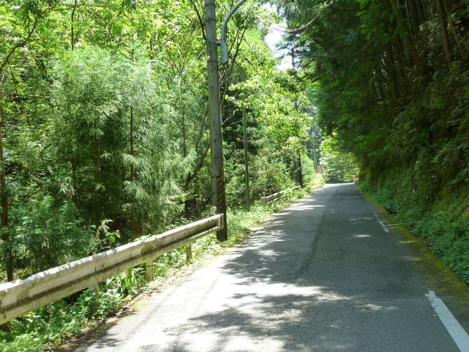 P1070794_mid.jpg