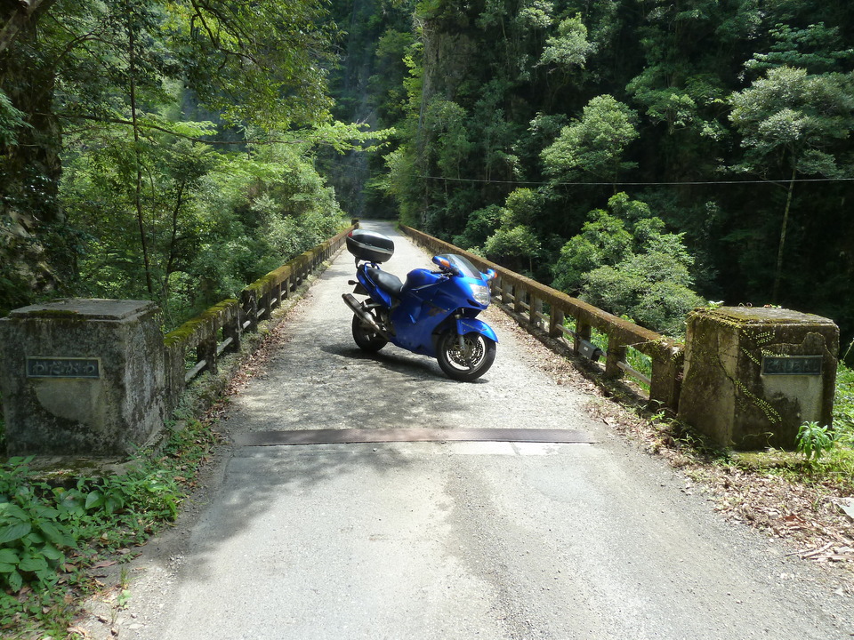 P1070818_mid.jpg
