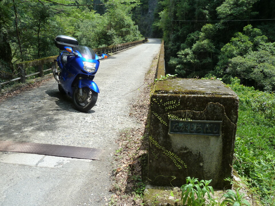 P1070819_mid.jpg