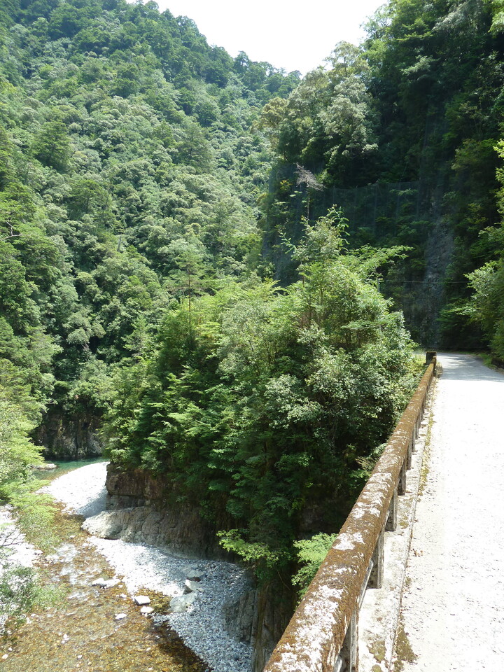 P1070822_mid.jpg