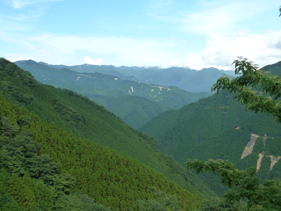 P1070914_mid.jpg