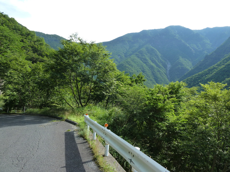 P1070945_mid.jpg
