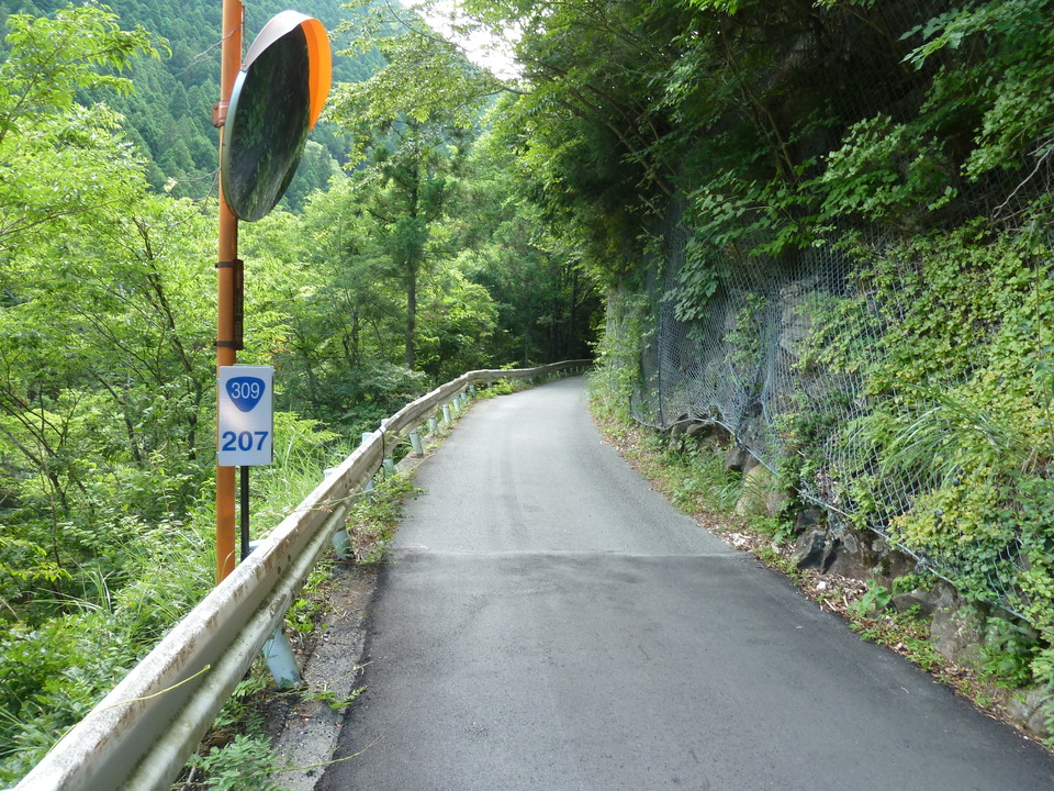 P1070983_mid.jpg