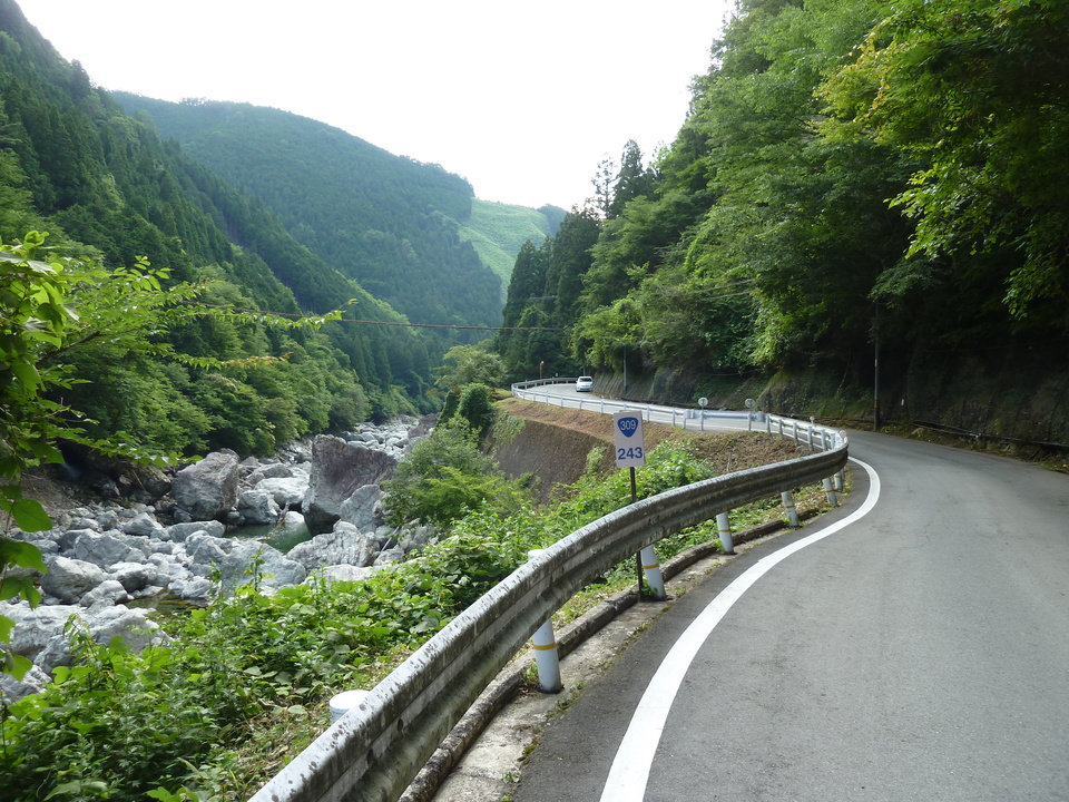 P1080009_mid.jpg