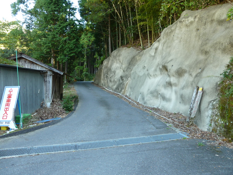 P1080580_mid.jpg