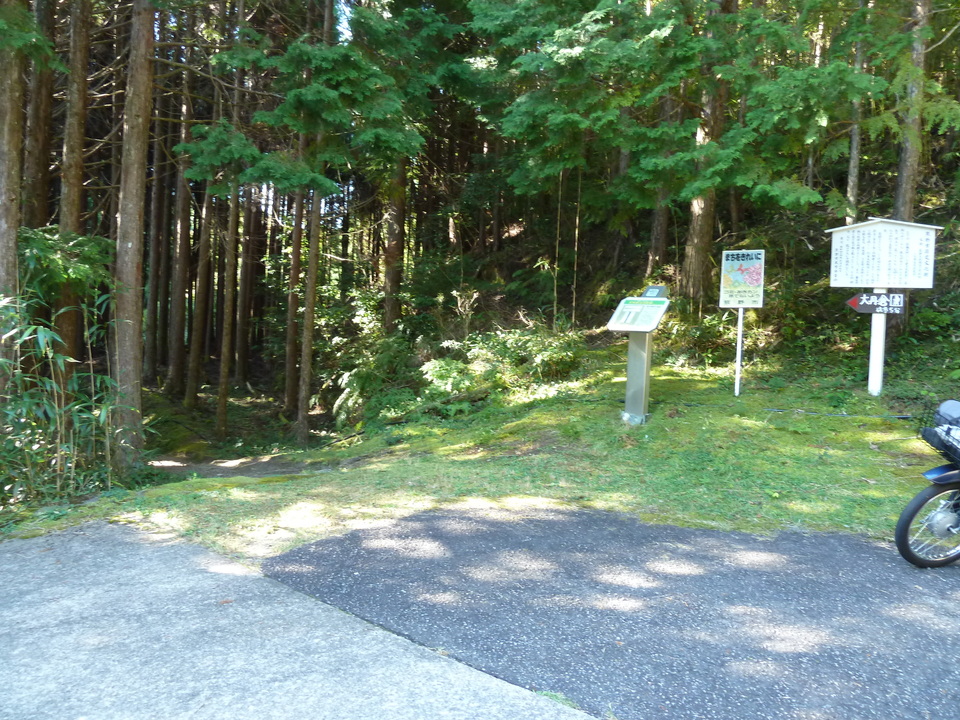 P1080594_mid.jpg