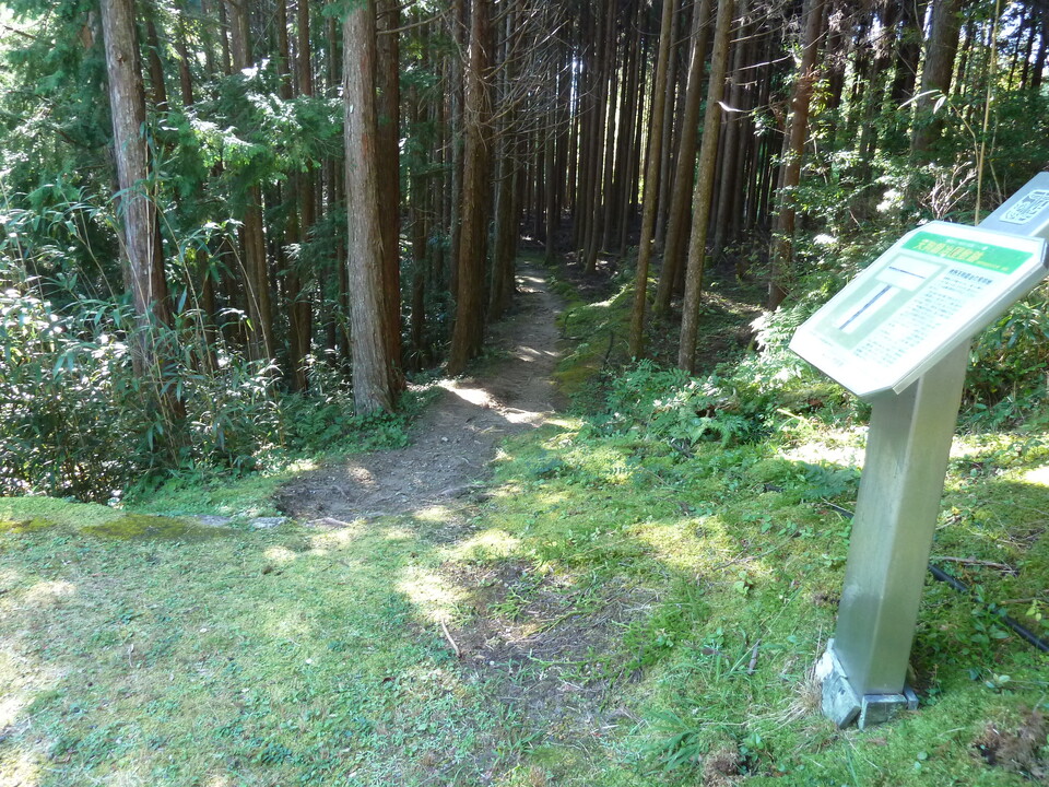P1080600_mid.jpg