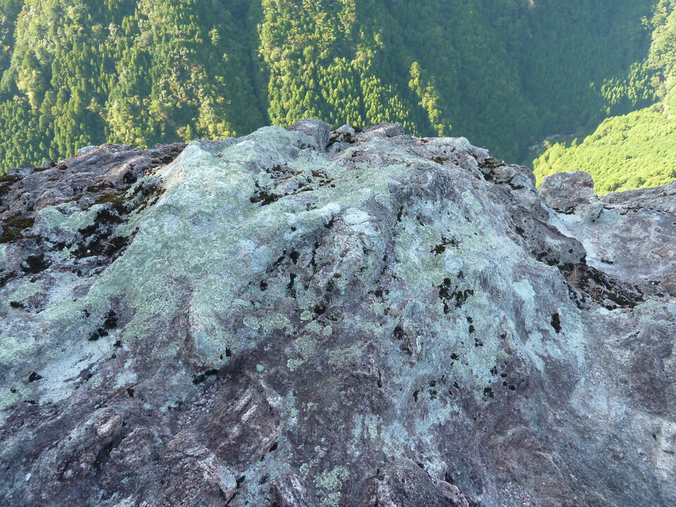 P1080607_mid.jpg