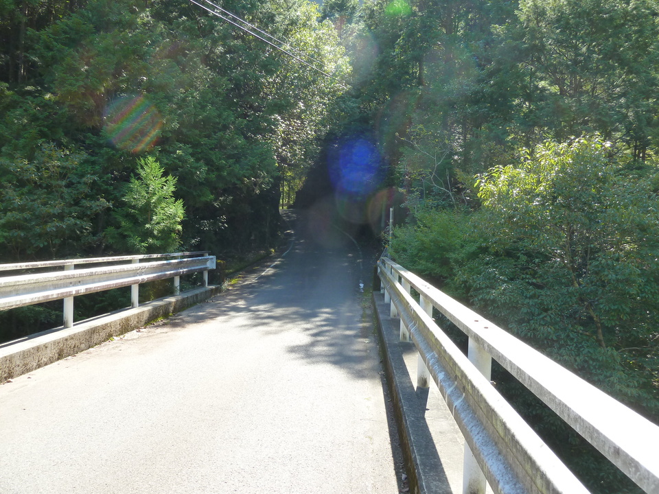 P1080659_mid.jpg