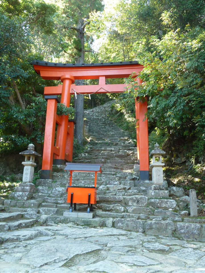 P1080715_mid.jpg
