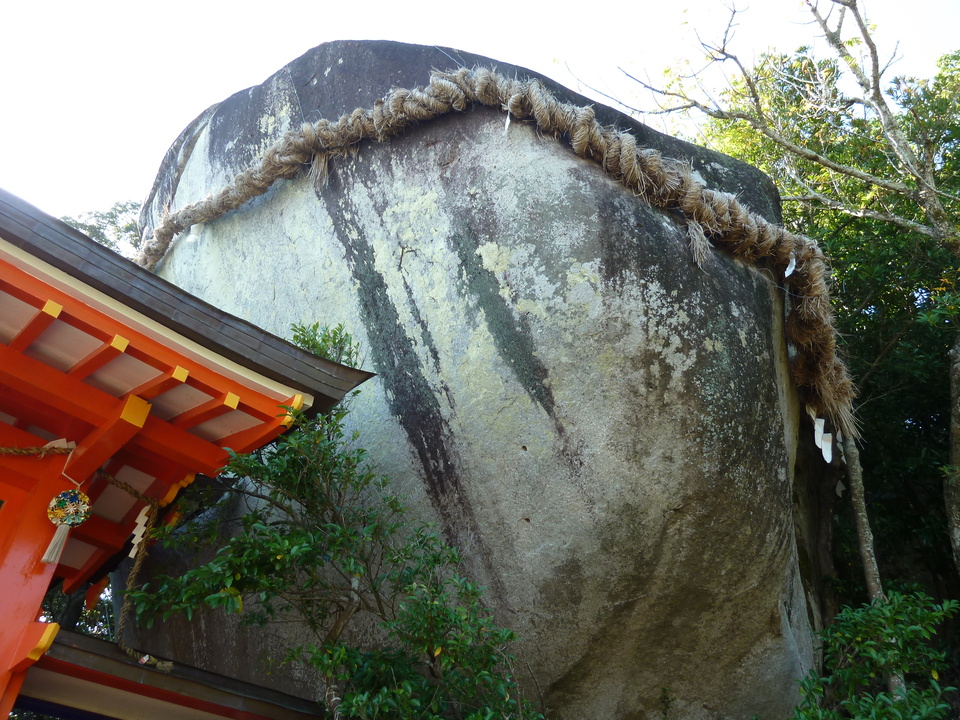 P1080727_mid.jpg