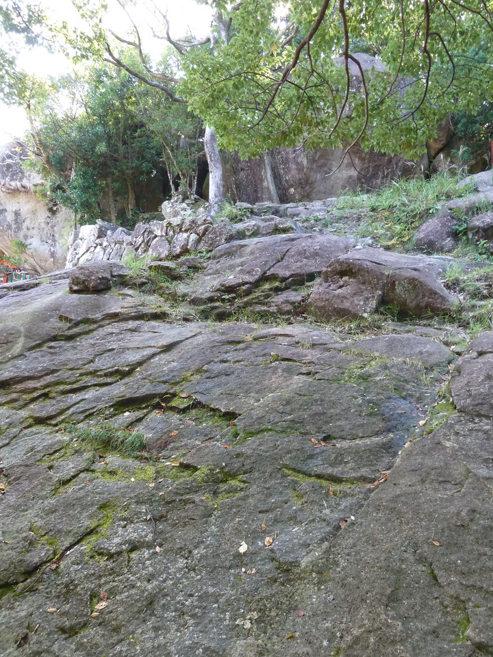 P1080731_mid.jpg