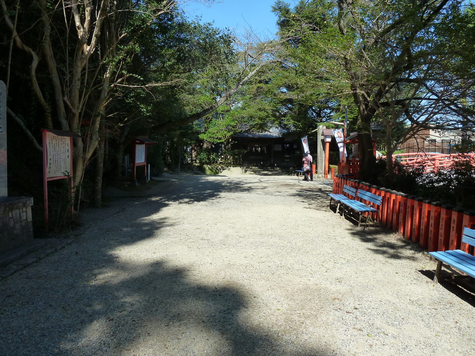 P1080743_mid.jpg