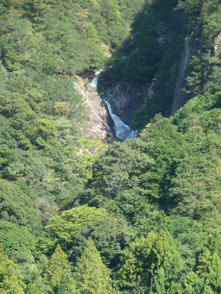 P1080758_mid.jpg