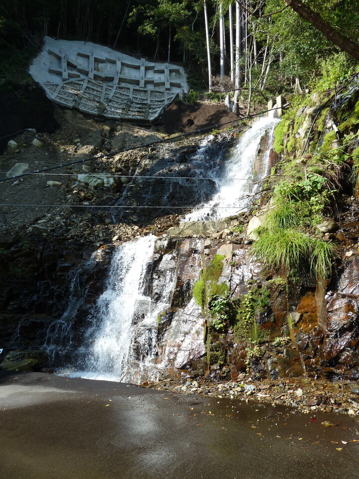 P1080766_mid.jpg