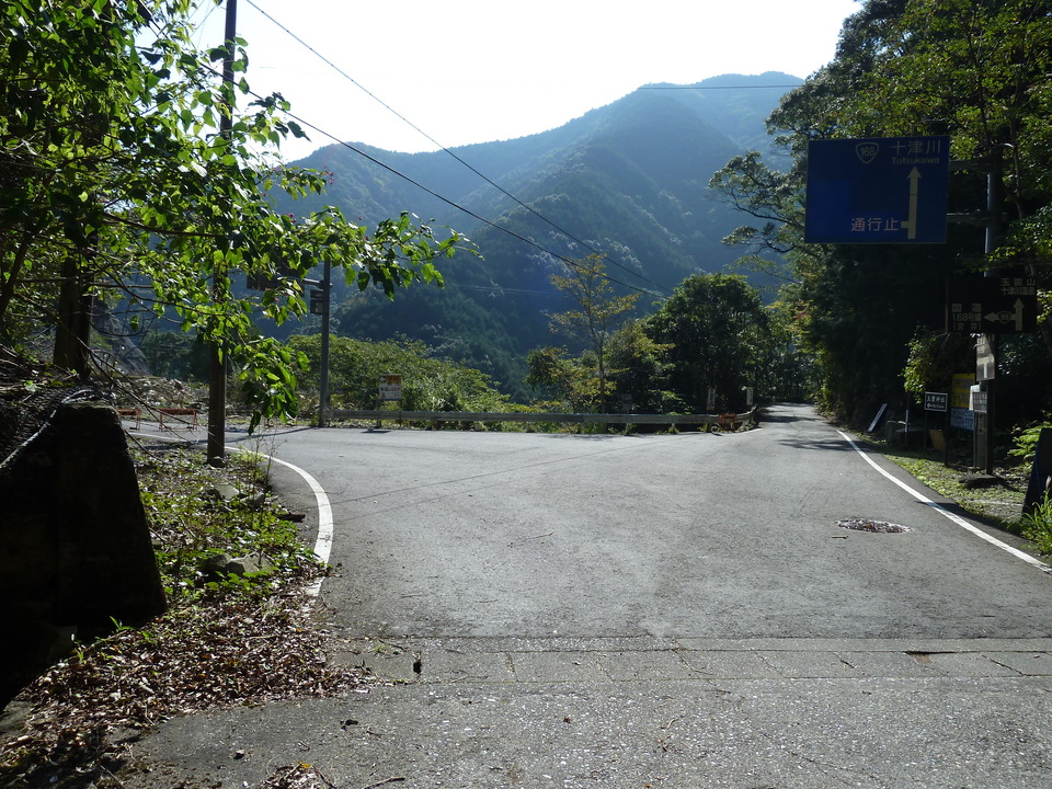 P1080770_mid.jpg