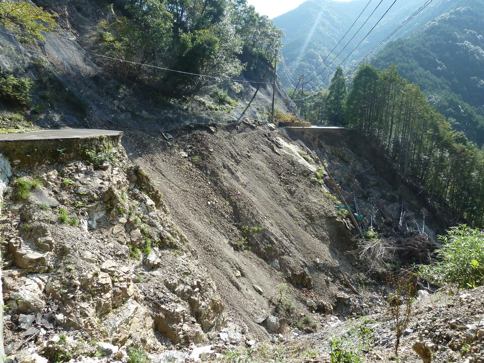 P1080775_mid.jpg