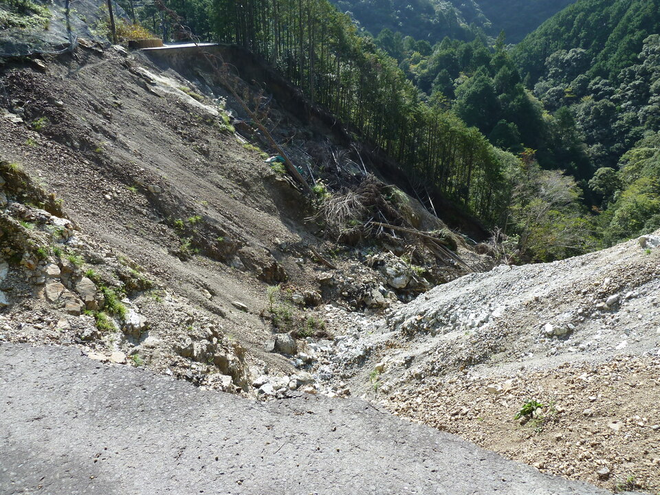 P1080776_mid.jpg