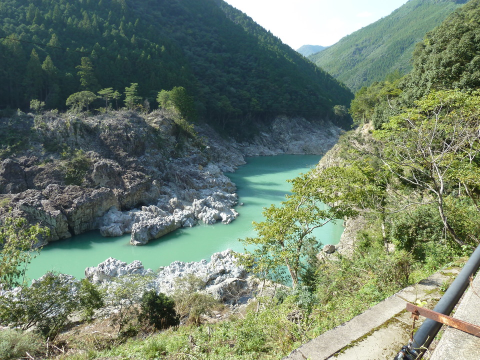 P1080795_mid.jpg