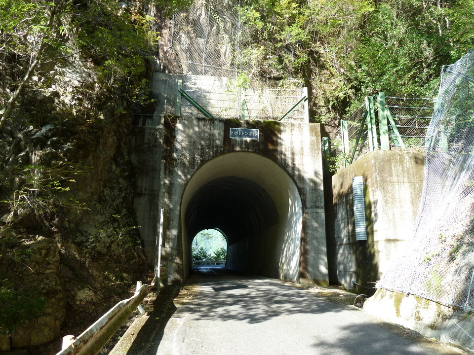 P1080807_mid.jpg