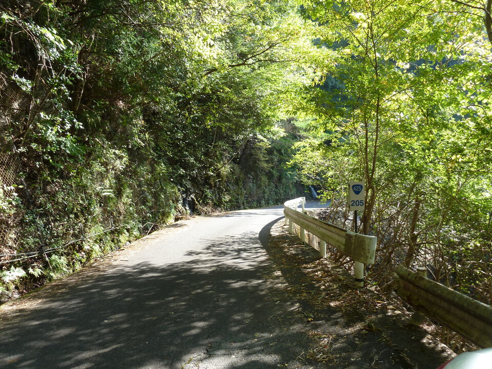 P1080808_mid.jpg