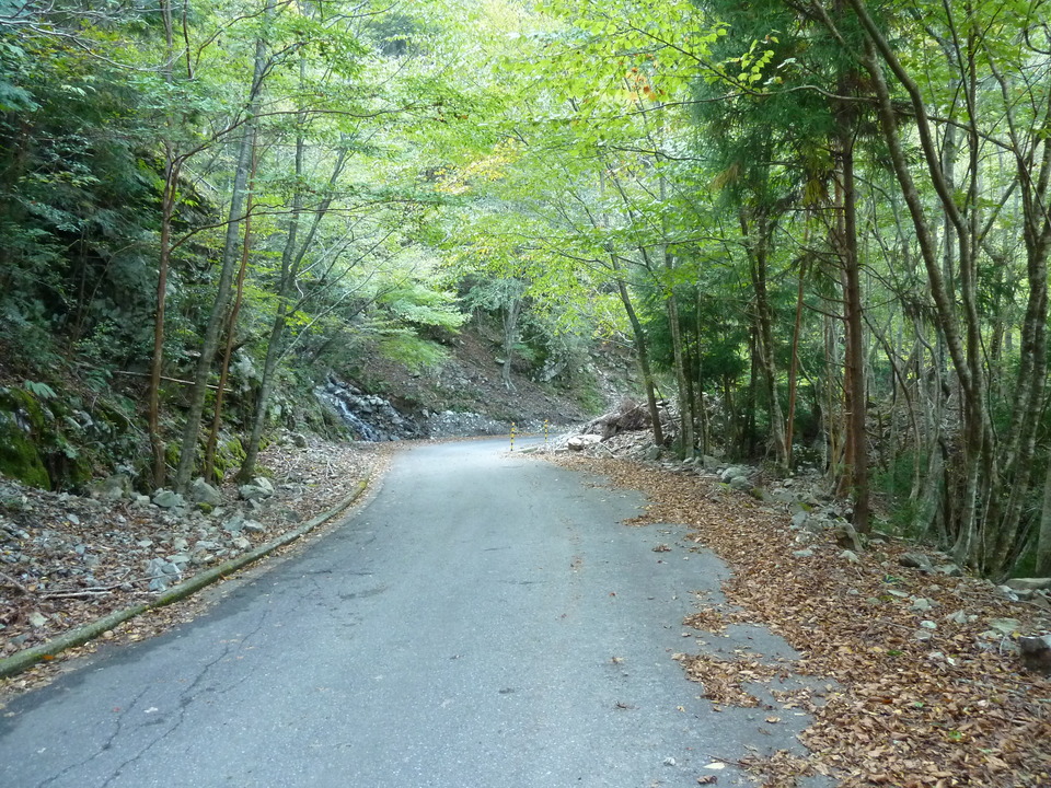 P1080825_mid.jpg