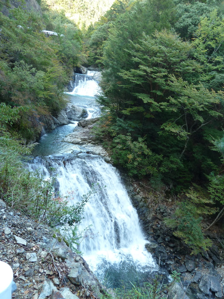 P1080830_mid.jpg