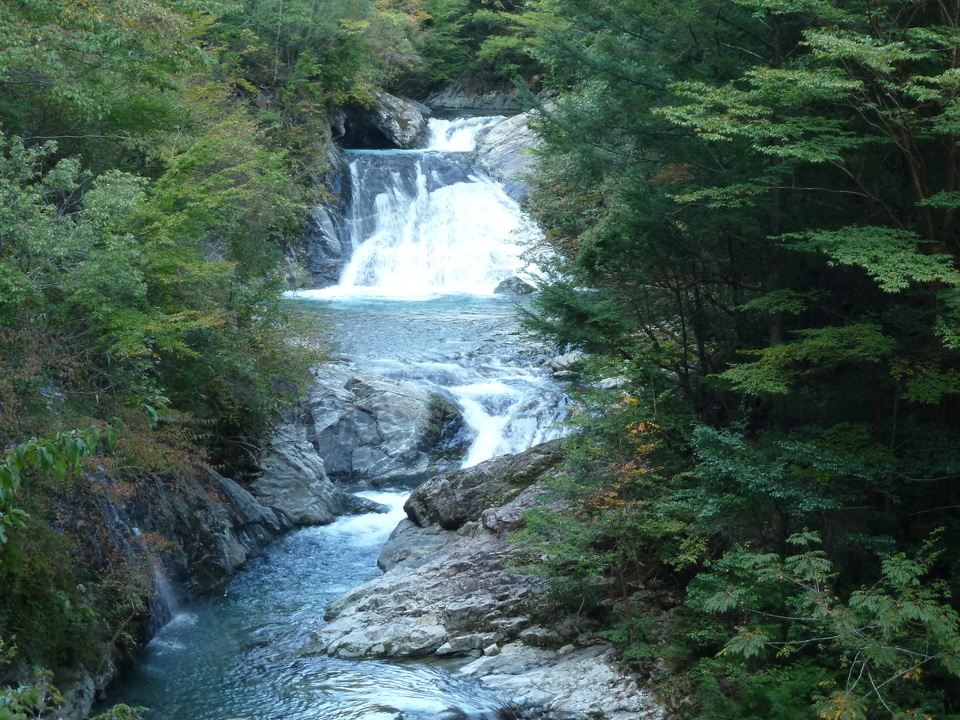 P1080833_mid.jpg