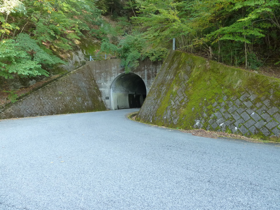 P1080836_mid.jpg
