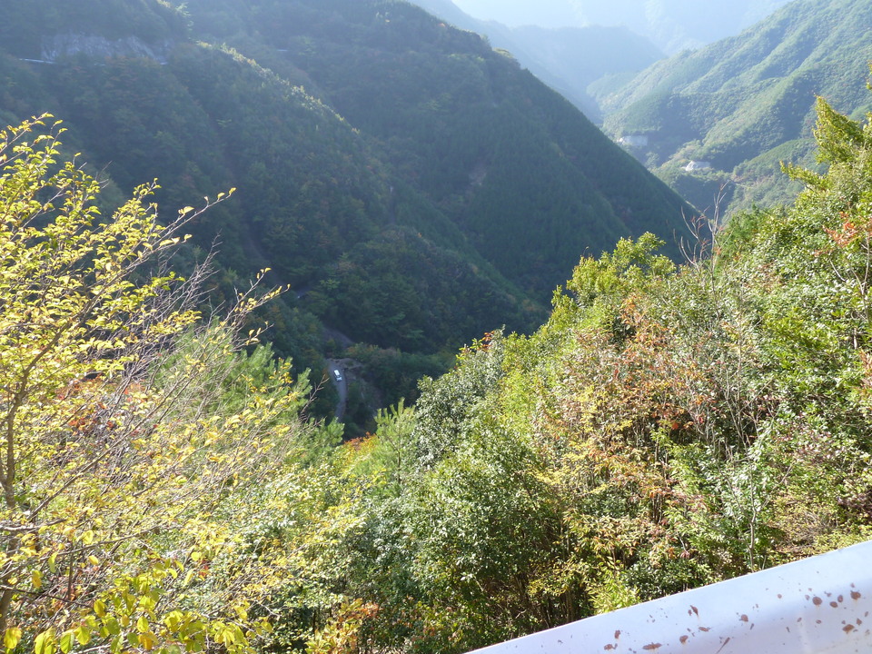 P1080839_mid.jpg