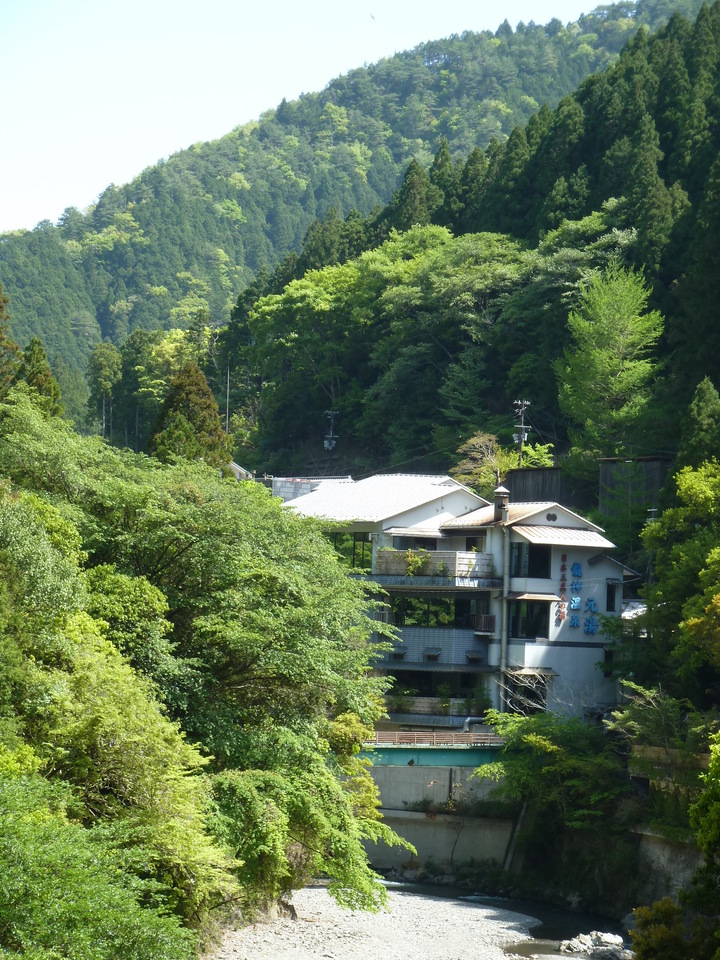 P1090742_mid.jpg