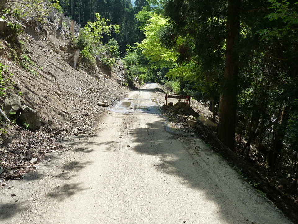 P1090777_mid.jpg
