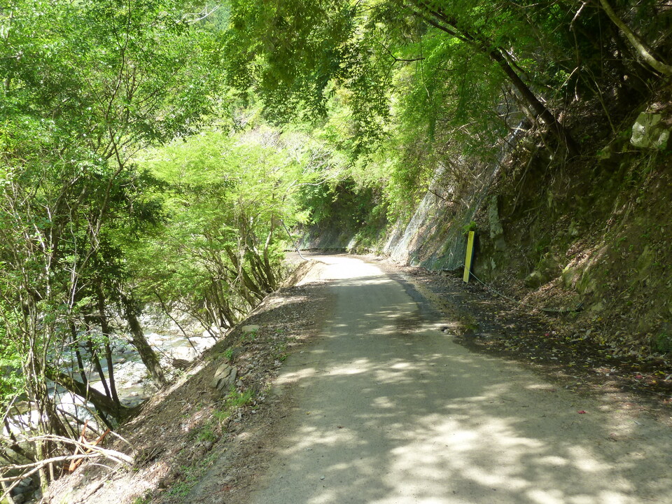 P1090778_mid.jpg