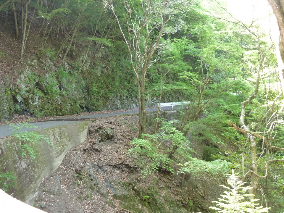 P1090789_mid.jpg